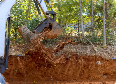 clearing-land-for-housing-complex-using-skid-steer-2026-01-09-09-10-24-utc