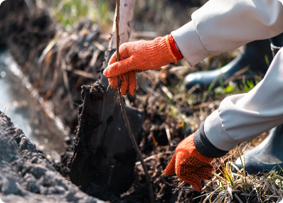 volunteer-planting-trees-nature